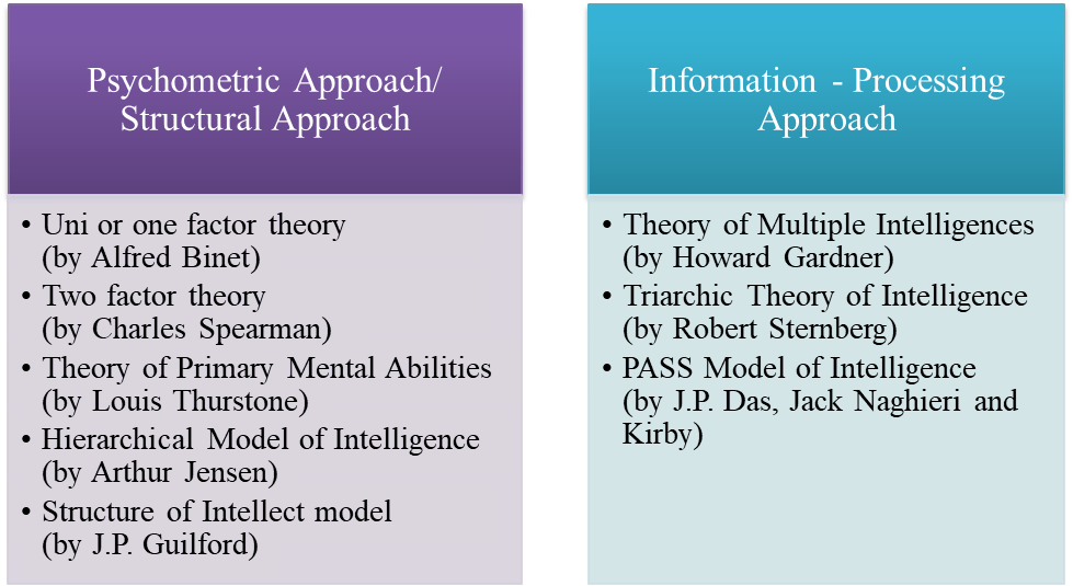 triarchic theory of intelligence examples